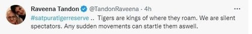 Raveena said that 'tigers are kings of where they roam'.