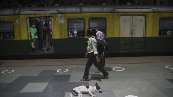 Representational image. (Samir Jana/ HT File Photo)