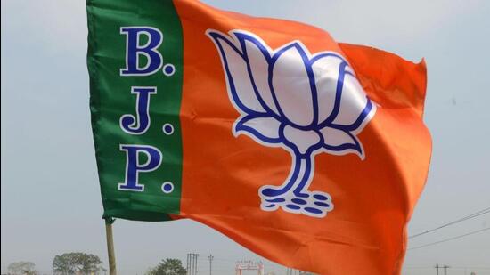 The contribution towards BJP amounts to a 79% share of all donations made by individuals, corporations, and electoral trusts (Representative Image) The contribution towards BJP amounts to a 79% share of all donations made by individuals, corporations, and electoral trusts (Representative Image)