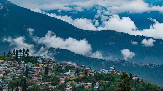 Darjeeling, West Bengal: This place attracts tourists from across the country for its tea estates, fashion and cold weather. Fashion enthusiasts can bring back some trendy outfits to flaunt in their city.(Unsplash)