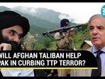 WILL AFGHAN TALIBAN HELP PAK IN CURBING TTP TERROR? WILL AFGHAN TALIBAN HELP PAK IN CURBING TTP TERROR?