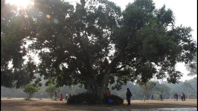 Most of the Capital’s parks — 15,229 of which are operated by the Municipal Corporation of Delhi (MCD) — are in a poor state. (HT Archive)