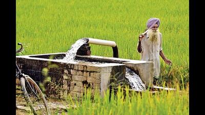 Through tertiary treatment, sewerage water is made suitable for irrigation after a chemical treatment and sedimentation process. (HT File Photo) Through tertiary treatment, sewerage water is made suitable for irrigation after a chemical treatment and sedimentation process. (HT File Photo)