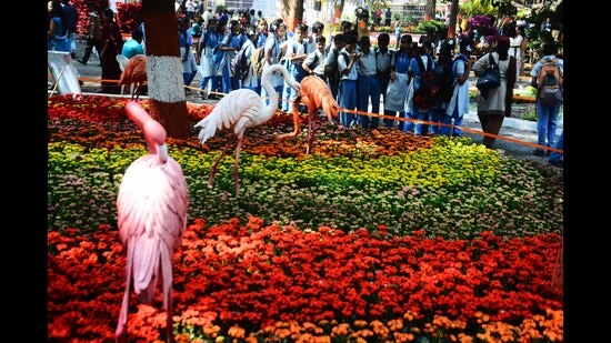 The seven-volume “Flora of the Bombay Presidency” remains a lasting memorial to Cooke’s critical acumen, industry, and energy. (HT FILE PHOTO)