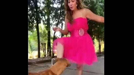 The video of a so-called Instagram influencer kicking a dog and then abusing drew flak on social media. 