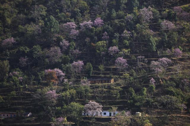 A mountain village in Uttarakhand. (Vipin Kumar/HT Photo)