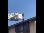 Firefighters rescue cat.(Facebook/@Bambi's Army - Rescue of K9's) Firefighters rescue cat.(Facebook/@Bambi's Army - Rescue of K9's)