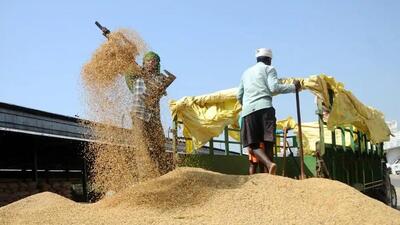 The Jammu and Kashmir administration on Friday approved regulations for the functioning of agriculture markets across the UT. (Image for representational purpose) The Jammu and Kashmir administration on Friday approved regulations for the functioning of agriculture markets across the UT. (Image for representational purpose)