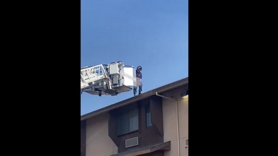 Firefighters rescue cat. (Facebook/@Bambi's Army - Rescue of K9's) Firefighters rescue cat. (Facebook/@Bambi's Army - Rescue of K9's)