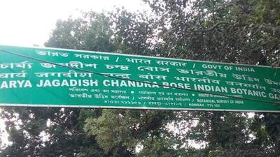 AJC Bose Indian Botanic Garden in Howrah (Representative/ Twitter Photo) AJC Bose Indian Botanic Garden in Howrah (Representative/ Twitter Photo)