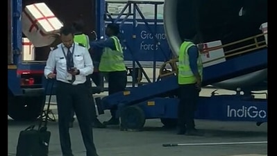 Screengrab from viral video: Indigo ground staff seen manhandling and tossing luggage from the aircraft to the trailer. (Twitter) Screengrab from viral video: Indigo ground staff seen manhandling and tossing luggage from the aircraft to the trailer. (Twitter)