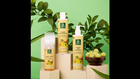 Nothing better than an all-natural and time tested range of oil, shampoo, and conditioner for a complete hair care regime. (Organic Amla hair care set by Organic Harvest).