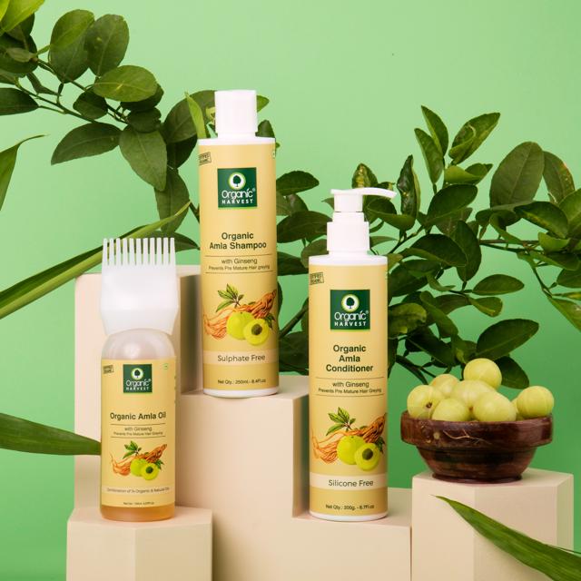 Nothing better than an all-natural and time tested range of oil, shampoo, and conditioner for a complete hair care regime. (Organic Amla hair care set by Organic Harvest). Nothing better than an all-natural and time tested range of oil, shampoo, and conditioner for a complete hair care regime. (Organic Amla hair care set by Organic Harvest).