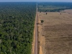 From 1985 to 2021, the deforested area surged from 490,000 square kilometers (190,000 square miles) to 1,250,000 square kilometers (482,000 square miles), unprecedented destruction in the Amazon (AP Photo/Leo Correa, File)(AP) From 1985 to 2021, the deforested area surged from 490,000 square kilometers (190,000 square miles) to 1,250,000 square kilometers (482,000 square miles), unprecedented destruction in the Amazon (AP Photo/Leo Correa, File)(AP)