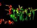 Visitors walk between huge lanterns depicting bugs and flowers at Belgium's Planckendael Zoo during its annual festive China Light ZOO light show.(REUTERS)