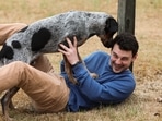 The benefits your pet receives from your simple playtime may surprise you if you assume it's just something you do to kill time. (Unsplash) The benefits your pet receives from your simple playtime may surprise you if you assume it's just something you do to kill time. (Unsplash)
