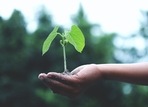 Lifestyle choices to lead a kinder life: Steps to achieve conscious consumption, sustainable purchase practices (Akil Mazumder) Lifestyle choices to lead a kinder life: Steps to achieve conscious consumption, sustainable purchase practices (Akil Mazumder)