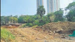 113 trees missing in Goregaon; BMC uses census data to file complaint 113 trees missing in Goregaon; BMC uses census data to file complaint