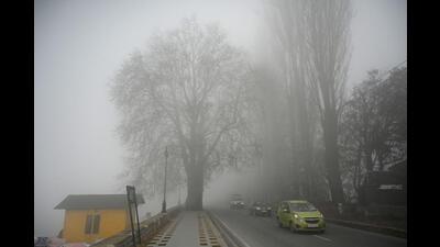Vehicles ply on a road amid fog in Srinagar on Saturday. (Waseem Andrabi /Hindustan Times)