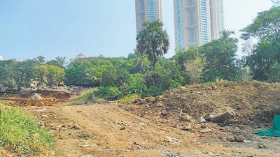 113 trees missing in Goregaon; BMC uses census data to file complaint 113 trees missing in Goregaon; BMC uses census data to file complaint
