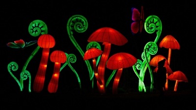 Previous exhibitions also include themes based on dinosaurs, named Dinolights. (REUTERS)