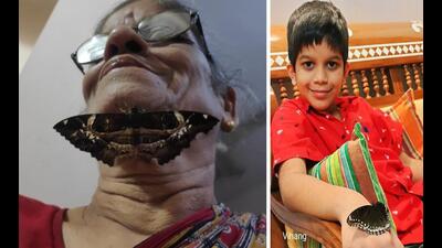 Usha Sadhale with an Erebus ephesperis moth resting under her chin and (right) her grandson Vihang sports a Great eggfly butterfly on his wrist. (Abhijit and Usha Sadhale)