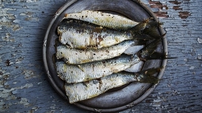 The researchers used catch, economic and nutrient data on 2,348 fish species to identify the most affordable and nutritious fish in 39 low- and middle-income countries. (Pixabay/image for representation) The researchers used catch, economic and nutrient data on 2,348 fish species to identify the most affordable and nutritious fish in 39 low- and middle-income countries. (Pixabay/image for representation)