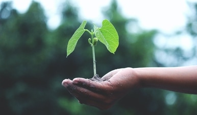 Lifestyle choices to lead a kinder life: Steps to achieve conscious consumption, sustainable purchase practices (Akil Mazumder) Lifestyle choices to lead a kinder life: Steps to achieve conscious consumption, sustainable purchase practices (Akil Mazumder)