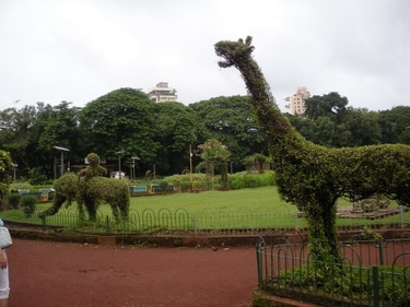 The Hanging Gardens of Mumbai are a terrace garden positioned on the western slope of Malabar Hill. (pinterest) The Hanging Gardens of Mumbai are a terrace garden positioned on the western slope of Malabar Hill. (pinterest)