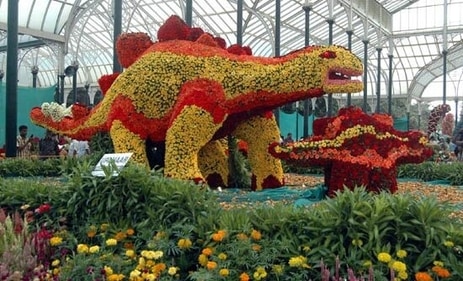 A haven for all nature lovers, Lal Bagh covers an area of 240 acres in the heart of the city and has nearly 1,854 species of plants. (pinterest) A haven for all nature lovers, Lal Bagh covers an area of 240 acres in the heart of the city and has nearly 1,854 species of plants. (pinterest)