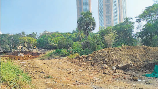 113 trees missing in Goregaon; BMC uses census data to file complaint 113 trees missing in Goregaon; BMC uses census data to file complaint