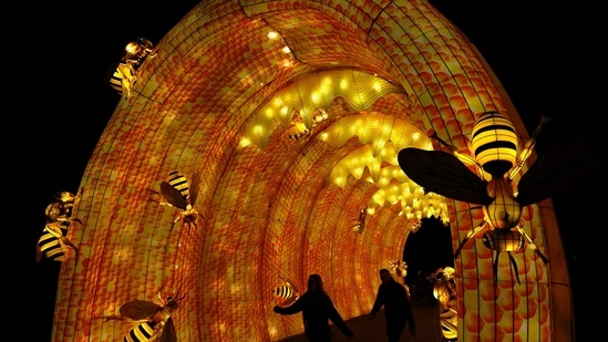 Los visitantes entran a una colmena durante un espectáculo de luces.  (Reuters)