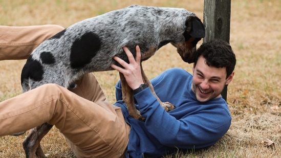 The benefits your pet receives from your simple playtime may surprise you if you assume it's just something you do to kill time. (Unsplash)