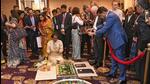 G20 Sherpa of India, Amitabh Kant with the delegates witness a display of Jal Sanjhia, at the 1st G20 Sherpas Meet, in Udaipur on Sunday. Jal Sanjhi is a centuries-old temple art form where water becomes the artist’s canvas usually made to honour Lord Krishna during the festival of Navratri. (ANI Photo) (Ishant) G20 Sherpa of India, Amitabh Kant with the delegates witness a display of Jal Sanjhia, at the 1st G20 Sherpas Meet, in Udaipur on Sunday. Jal Sanjhi is a centuries-old temple art form where water becomes the artist’s canvas usually made to honour Lord Krishna during the festival of Navratri. (ANI Photo) (Ishant)
