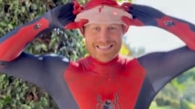 Prince Harry: Prince Harry dressed up as Spider-Man. Prince Harry: Prince Harry dressed up as Spider-Man.