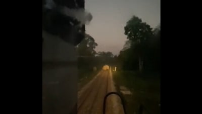 The image shows an elephant crossing railway tracks. (Twitter/@ParveenKaswan)