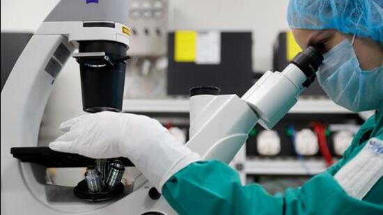 A scientist examines COVID-19 infected cells under a microscope during research for a vaccine against the coronavirus disease (COVID-19) at a laboratory of BIOCAD biotechnology company in Saint Petersburg, Russia May 20, 2020. REUTERS/Anton Vaganov (REUTERS)