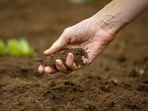 As the increasing population burdens our agricultural systems, it is crucial to ensure soil replenishment after each harvest to ensure global food security. As the increasing population burdens our agricultural systems, it is crucial to ensure soil replenishment after each harvest to ensure global food security.