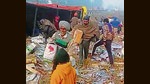 A total of many as 1,265 cartons of apples were stolen by villagers and passersby after the fruit-laden truck overturned on the Delhi-Amritsar highway in Fatehgarh Sahib district. (Video grab) A total of many as 1,265 cartons of apples were stolen by villagers and passersby after the fruit-laden truck overturned on the Delhi-Amritsar highway in Fatehgarh Sahib district. (Video grab)
