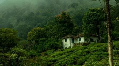 The Wayanad district in Kerala. (Shutterstock File Photo)