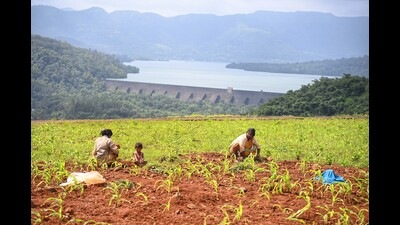 Last week, the committee had submitted its report to the state irrigation department and an official involved in preparing the report said that it is possible to lift 5 TMC water from the Mulshi dam for drinking purposes without compromising power generation. (Kalpesh Nukte/ HT) Last week, the committee had submitted its report to the state irrigation department and an official involved in preparing the report said that it is possible to lift 5 TMC water from the Mulshi dam for drinking purposes without compromising power generation. (Kalpesh Nukte/ HT)