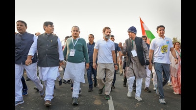 Congress leader Rahul Gandhi during the Bharat Jodo Yatra in Rajasthan. (PTI)