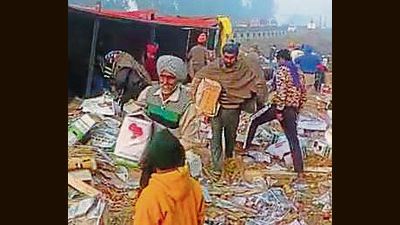 A total of many as 1,265 cartons of apples were stolen by villagers and passersby after the fruit-laden truck overturned on the Delhi-Amritsar highway in Fatehgarh Sahib district. (Video grab) A total of many as 1,265 cartons of apples were stolen by villagers and passersby after the fruit-laden truck overturned on the Delhi-Amritsar highway in Fatehgarh Sahib district. (Video grab)