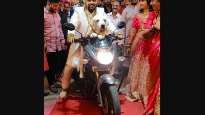 The image, taken from the viral Instagram video, shows the groom entering the wedding venue on a bike along with his dog. (Instagram/@supremebakarwadi)
