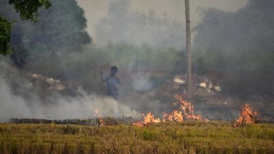 A farmer burns stubble on outskirts of Ludhiana, in Punjab in November 7. According to the weekly data compiled by the Ludhiana-based state remote sensing centre till November 18, paddy straw was burnt over 1,488,000 hectares, against last season’s 1,417,000 hectares on the same day. (Gurpreet Singh/HT Photo) A farmer burns stubble on outskirts of Ludhiana, in Punjab in November 7. According to the weekly data compiled by the Ludhiana-based state remote sensing centre till November 18, paddy straw was burnt over 1,488,000 hectares, against last season’s 1,417,000 hectares on the same day. (Gurpreet Singh/HT Photo)
