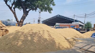 Though the government has imposed 20% duty on rice exports, but traders say that it will not impact their profit as rice prices are at a record high. (Representational Image/HT File) Though the government has imposed 20% duty on rice exports, but traders say that it will not impact their profit as rice prices are at a record high. (Representational Image/HT File)