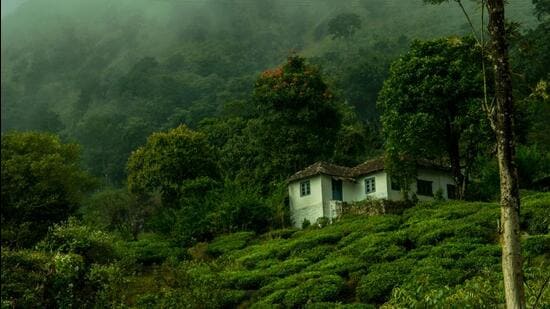 The Wayanad district in Kerala. (Shutterstock File Photo) The Wayanad district in Kerala. (Shutterstock File Photo)