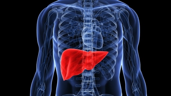 Fatty liver cure tips: Nutritional diet, supplements, lifestyle, fitness tweaks (Twitter/AHealthyBod)