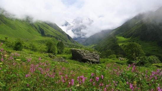 Valley of Flowers National Park in Chamoli of Uttarakhand.  (wikipedia)