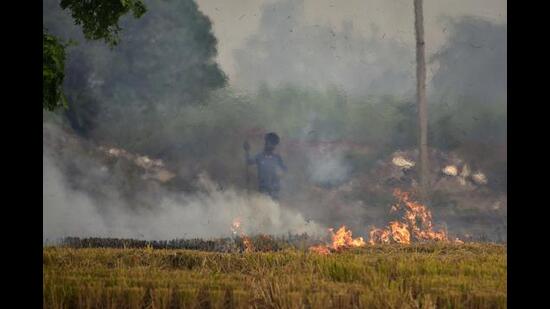 The total active fire counts (for ‘kharif’ season) in Punjab, Haryana, and NCR districts of Uttar Pradesh and Rajasthan, and Delhi for 2021 had stood at 78,550 in 2021. (HT file photo)